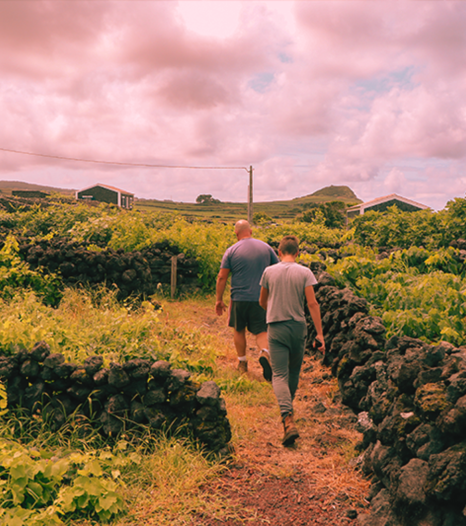 Adega Vale dos Montes